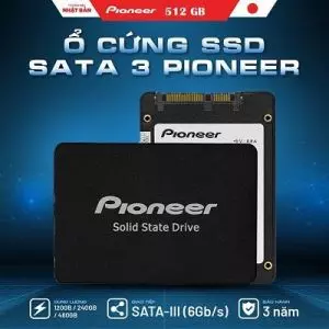 Ổ Cứng Laptop SSD PIONEER 512GB APS-SL2-512 Sata III 2.5″ | Ổ cứng Mới, BH 36 Tháng